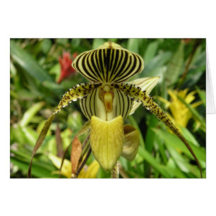 Gult Orchidblommakort OBS Kort