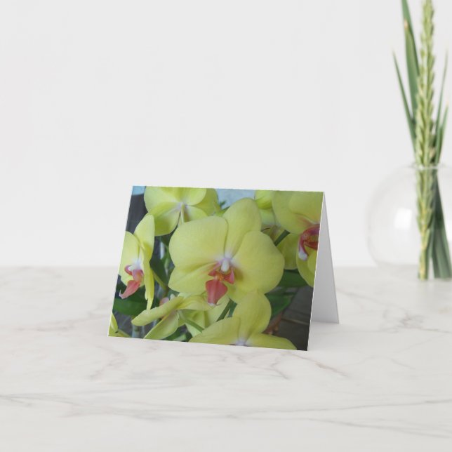 Gult Orchids på ett in- och invändigt notecard Kort (Framsida)