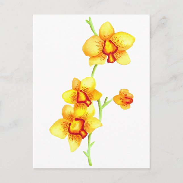 Gult Orchids Vatercolor Postcard Vykort (Framsida)