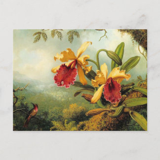 Gult Orchids Vykort