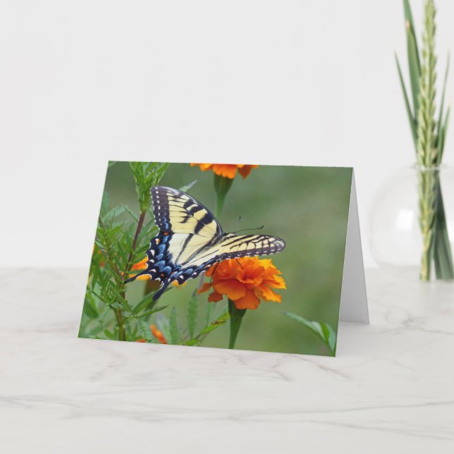 Gult Östra Tiger Swallowtail Helgkort (Framsida)