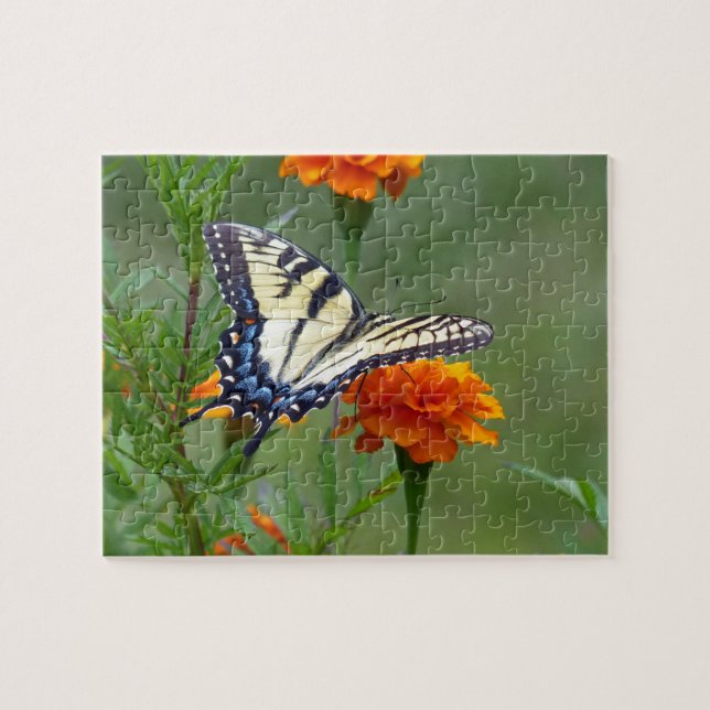 Gult Östra Tiger Swallowtail Jigszon Puz Pussel (Horisontell)