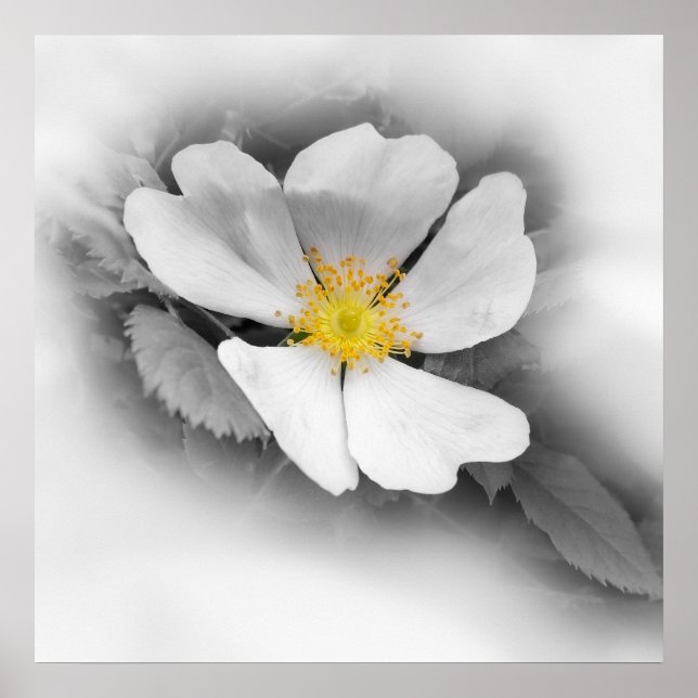 gult på gråttets nyanser poster (Framsidan)