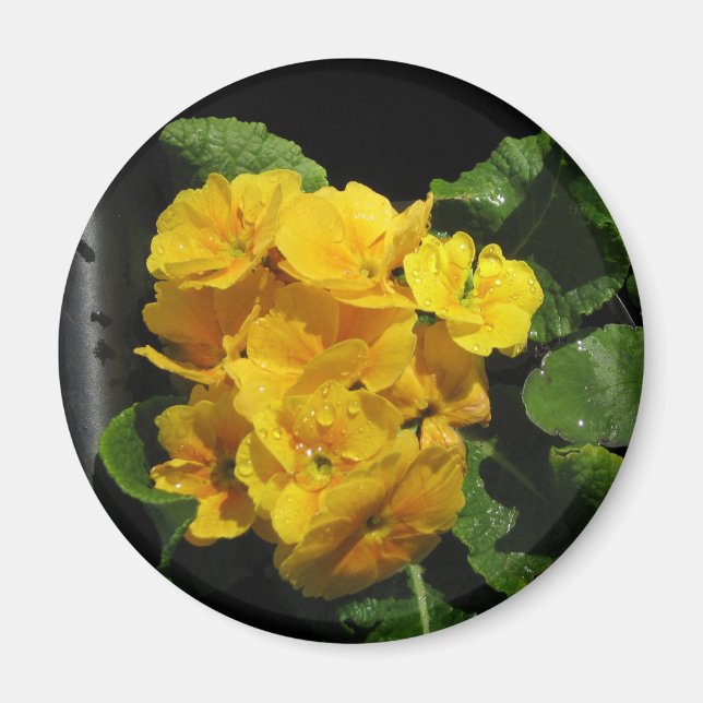 Gult Pansies Magnet (Framsidan)