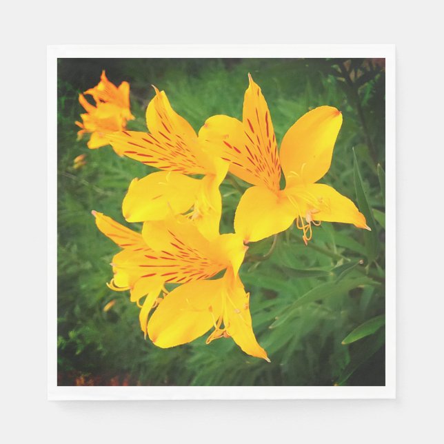 Gult Pappersservett (Framsidan)