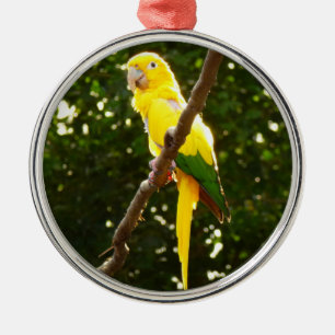 Gult Parrot Julgransprydnad Metall