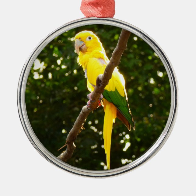 Gult Parrot Julgransprydnad Metall (Framsidan)