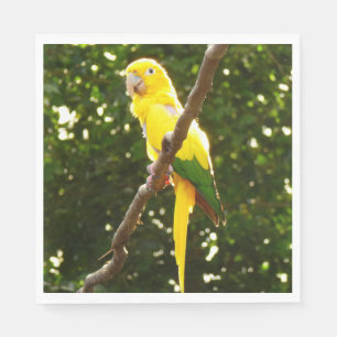 Gult Parrot Pappersservett