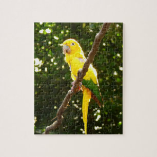 Gult Parrot Pussel