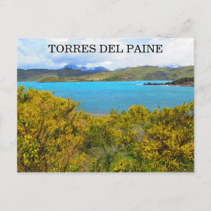 gult Patagonia Vykort