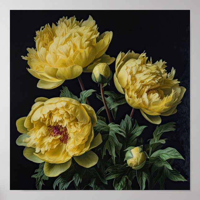 Gult Peonies Flower Art Print Poster (Framsidan)