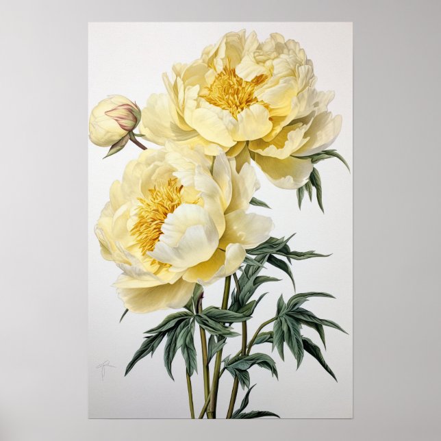 Gult Peonies Flower Art Print Poster (Framsidan)