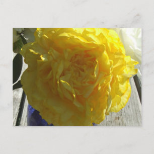 Gult Peonies Vykort
