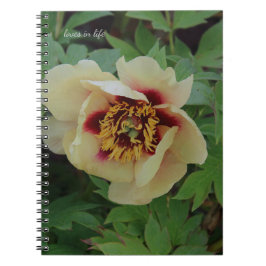 Gult Peony på Cream Anteckningsbok