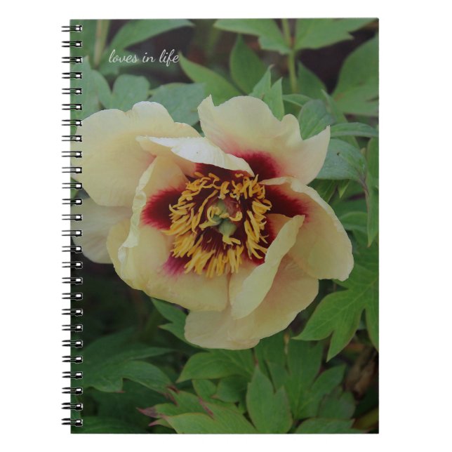 Gult Peony på Cream Anteckningsbok (Framsidan)