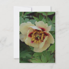 Gult Peony på Cream Anteckningskort