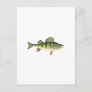 Gult Perch Art Vykort