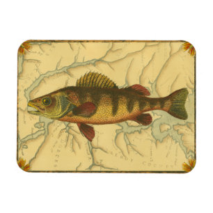 Gult Perch på Karta Magnet