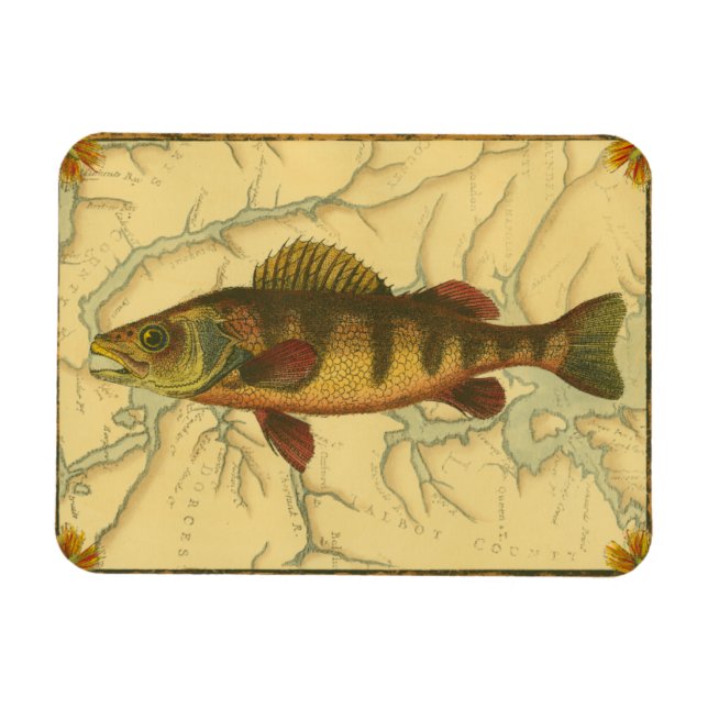 Gult Perch på Karta Magnet (Horisontell)