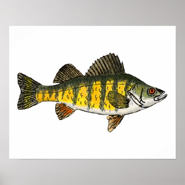 Gult Perch Poster (Framsidan)
