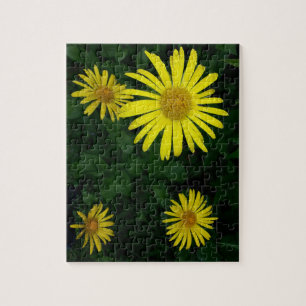 Gult Perennial Minnesota Flower Pussel