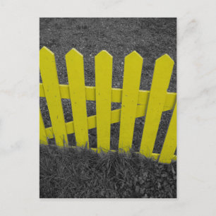 Gult Picket Fence Vykort