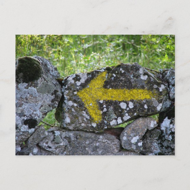 Gult pil på vykort (Framsida)