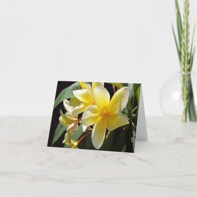 Gult Plumeria Photo Folant Note Card Anteckningskort (Framsida)