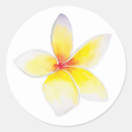 Gult Plumeria Sticker Runt Klistermärke