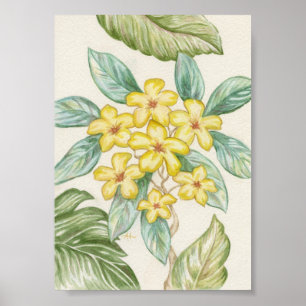 Gult Plumeria-teckning Poster