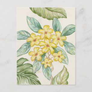 Gult Plumeria-vykort Vykort