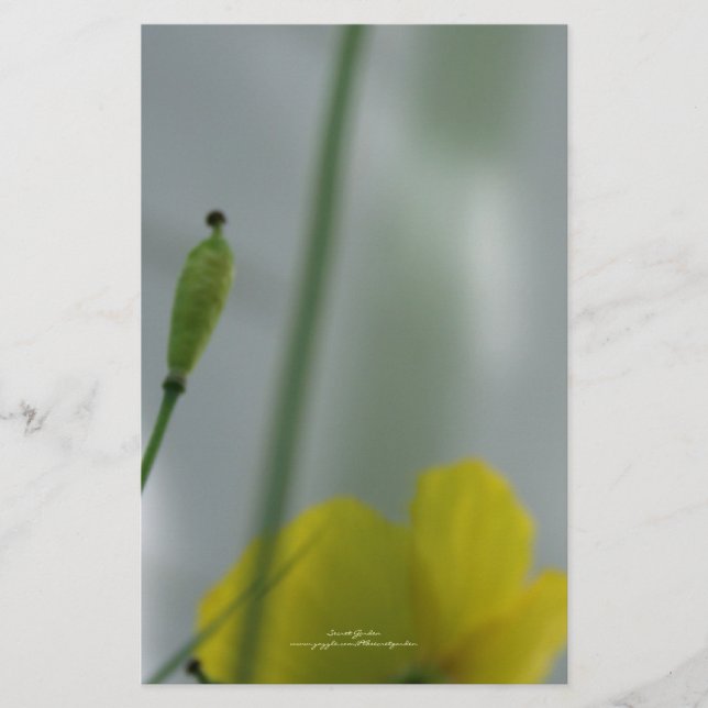 Gult Poppies skuggar 12 anpassningsbara lager Brevpapper (Framsida)