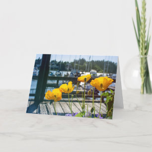 Gult poppies vid hamnen i Marina tom Kort