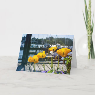 Gult poppies vid hamnen i Marina tom Kort
