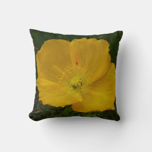 Gult Poppy Alaska Wildblomma Blommigt Kudde