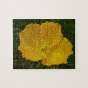 Gult Poppy Alaska Wildblomma Blommigt Pussel