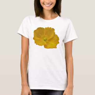 Gult Poppy Alaska Wildblomma Blommigt Tee