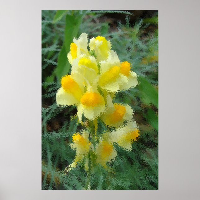 Gult Poster blomma (Framsidan)