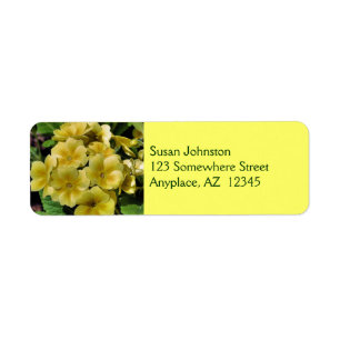 Gult Primrose-blommans adressetikett Returadress Etikett