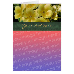 Gult Primrose Flower-fotokort Hälsningskort