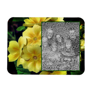 Gult Primrose Flowers Lägg till ditt foto Magnet