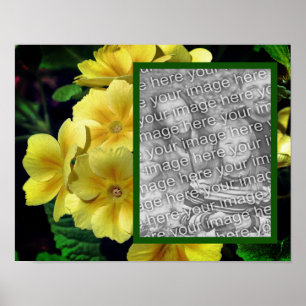 Gult Primrose Flowers Lägg till ditt foto Poster