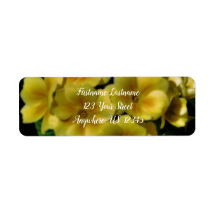 Gult Primrose Flowers Orton Effect Adress Returadress Etikett