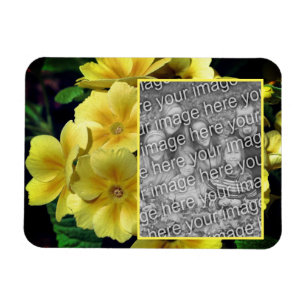 Gult Primrose Flowers Skapar ditt eget foto Magnet