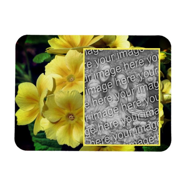Gult Primrose Flowers Skapar ditt eget foto Magnet (Horisontell)