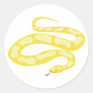 Gult Python Runt Klistermärke