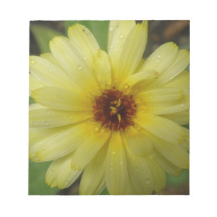 Gult Raindrops Marigold Anteckningsblock