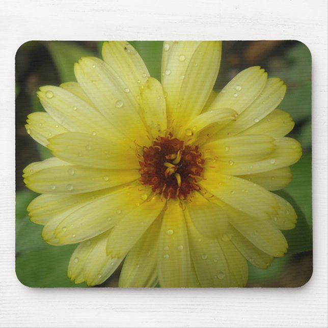 Gult Raindrops Marigold Mousepad Musmatta (Framsidan)