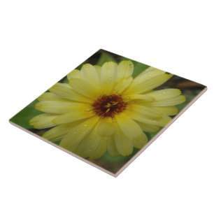 Gult Raindrops Marigold Tile Kakelplatta