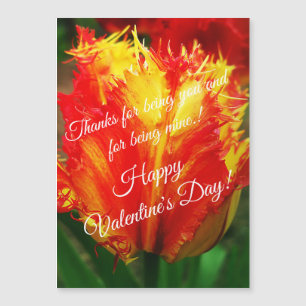 Gult Red Curly Tulip Glad Alla hjärtans dag